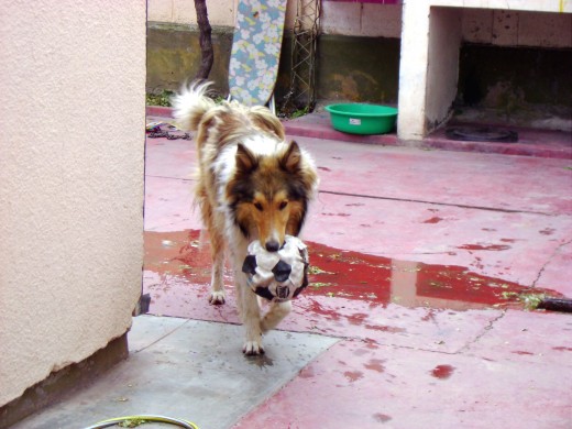 ESA PELOTA ESTABA INFLADA!!!